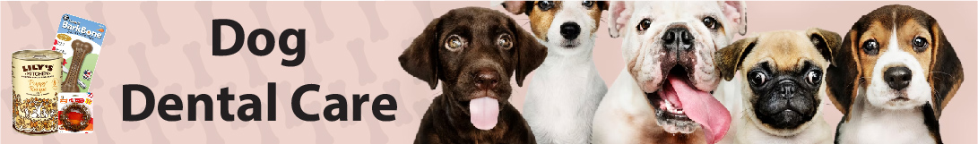 dog banner image